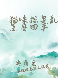 猫咪总是乱尿是怎么回事