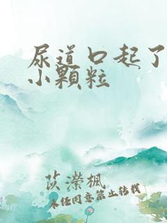 尿道口起了好多小颗粒