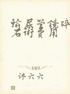 输尿管镜碎石取石术费用