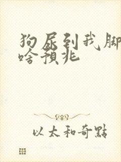 狗尿到我脚上是啥预兆