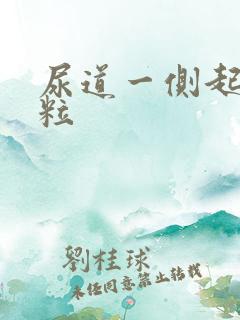 尿道一侧起小肉粒