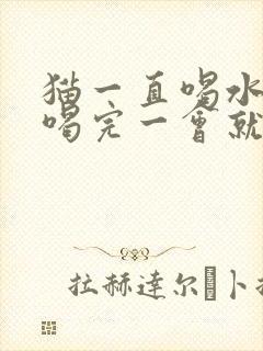 猫一直喝水的 喝完一会就吐