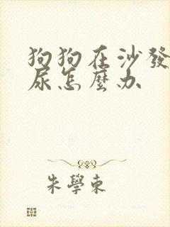 狗狗在沙发上拉尿怎么办