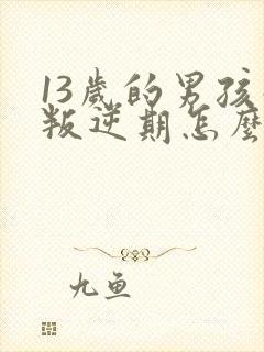 13岁的男孩子叛逆期怎么办