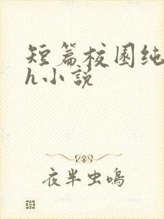 短篇校园纯肉高h小说