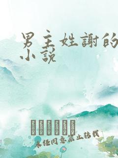 男主姓谢的现言小说