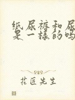 纸尿裤和尿不湿是一样的吗