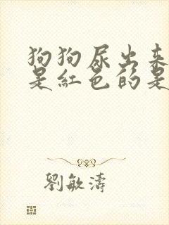 狗狗尿出来的尿是红色的是什么问题