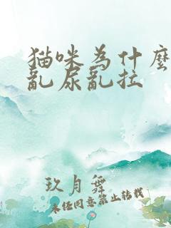 猫咪为什么到处乱尿乱拉