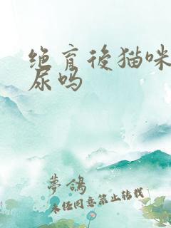 绝育后猫咪还乱尿吗