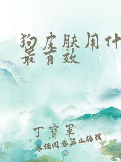 狗皮肤用什么药最有效