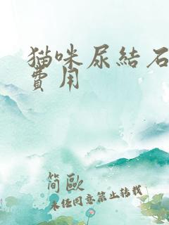 猫咪尿结石治疗费用