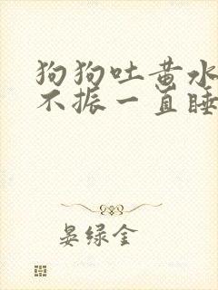 狗狗吐黄水食欲不振一直睡觉