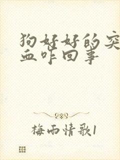 狗好好的突然尿血咋回事