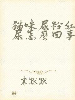 猫咪尿粉红色的尿怎么回事