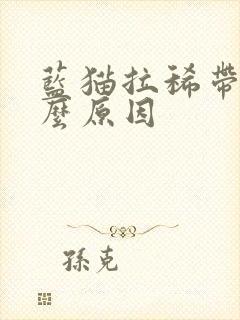 蓝猫拉稀带血什么原因