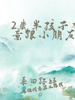 2岁半孩子不愿意跟小朋友玩