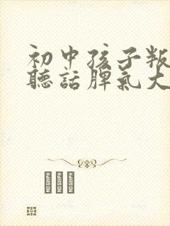 初中孩子叛逆不听话脾气大怎么办