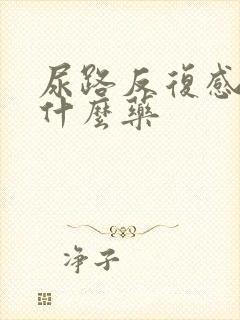 尿路反复感染吃什么药