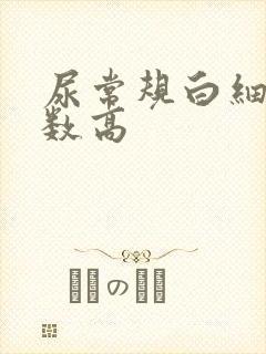 尿常规白细胞计数高