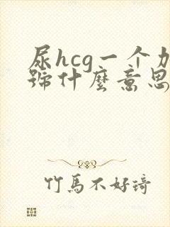 尿hcg一个加号什么意思