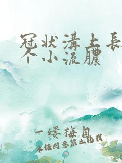 冠状沟上长了几个小流脓