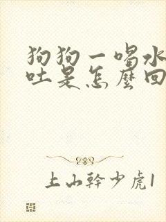 狗狗一喝水就呕吐是怎么回事