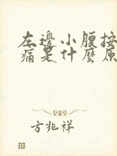 左边小腹按压疼痛是什么原因女性