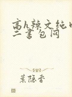 高h辣文纯肉第二书包网