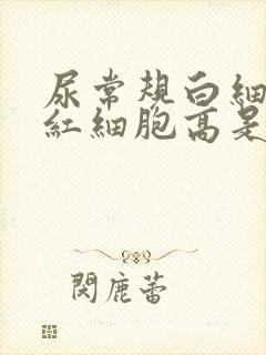 尿常规白细胞和红细胞高是怎么回事