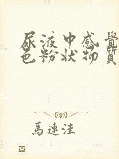 尿液中感觉有白色粉状物质