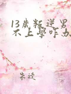 13岁叛逆男孩不上学咋办