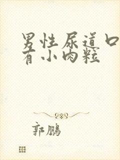 男性尿道口两边有小肉粒