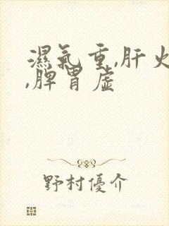 湿气重,肝火旺,脾胃虚