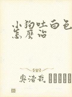 小狗吐白色粘液怎么治