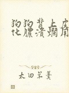 狗狗背上皮肤病化脓溃烂用什么药