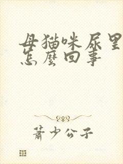 母猫咪尿里有血怎么回事