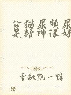 公猫尿频尿血但是精神很好