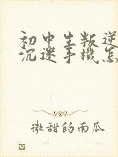 初中生叛逆非常沉迷手机怎么办