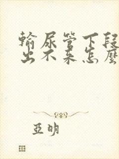 输尿管下段结石出不来怎么办