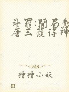 斗罗:开局怼哭唐三获得神级武魂