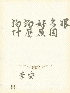 狗狗好多眼屎是什么原因