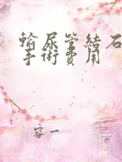 输尿管结石治疗手术费用