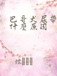 巴哥犬尿带血是什么原因