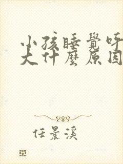 小孩睡觉呼噜声大什么原因