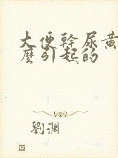 大便干尿黄是什么引起的