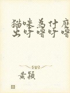 猫咪为什么会发出呼噜呼噜的声音