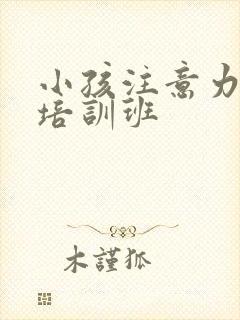 小孩注意力训练培训班