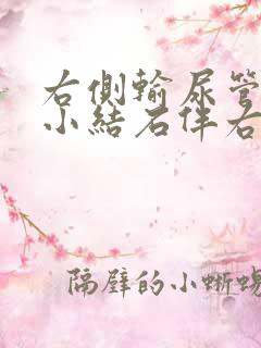 右侧输尿管下端小结石伴右肾轻度积水