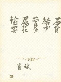 输尿管结石治疗要花多少费用